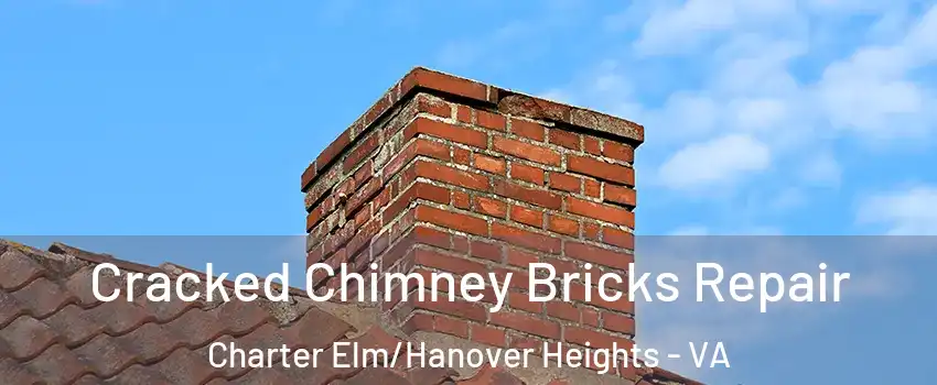 Cracked Chimney Bricks Repair Charter Elm/Hanover Heights - VA