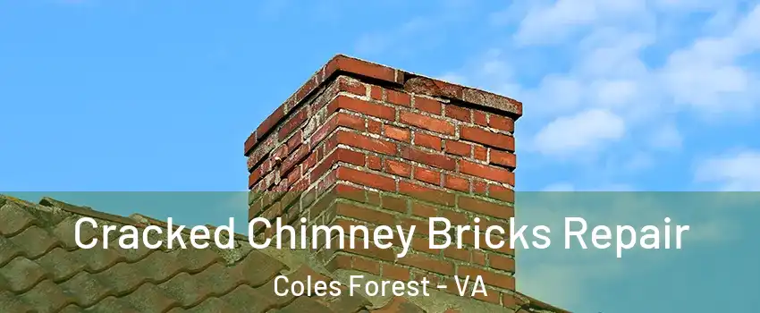 Cracked Chimney Bricks Repair Coles Forest - VA
