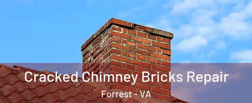 Cracked Chimney Bricks Repair Forrest - VA