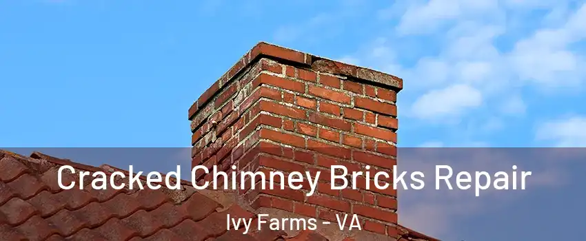 Cracked Chimney Bricks Repair Ivy Farms - VA