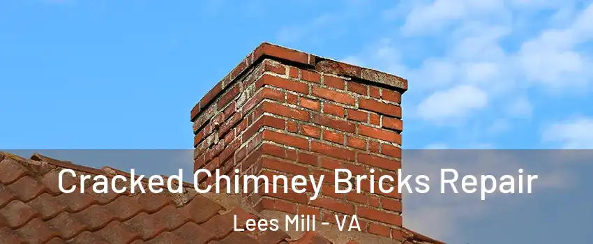 Cracked Chimney Bricks Repair Lees Mill - VA