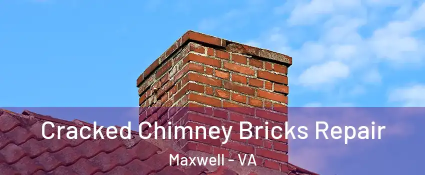 Cracked Chimney Bricks Repair Maxwell - VA