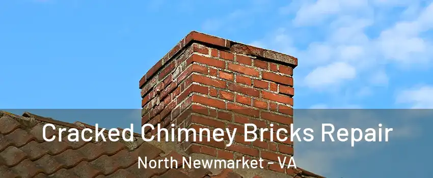 Cracked Chimney Bricks Repair North Newmarket - VA