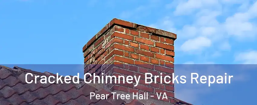 Cracked Chimney Bricks Repair Pear Tree Hall - VA