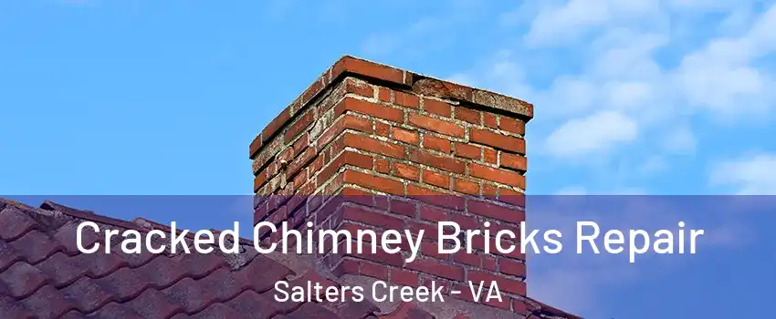Cracked Chimney Bricks Repair Salters Creek - VA