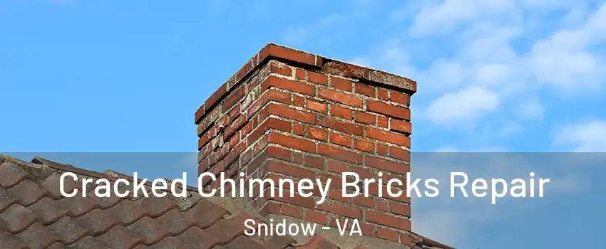 Cracked Chimney Bricks Repair Snidow - VA