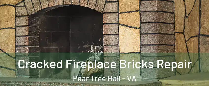 Cracked Fireplace Bricks Repair Pear Tree Hall - VA