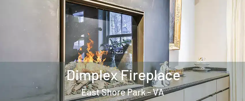 Dimplex Fireplace East Shore Park - VA