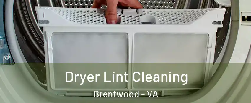 Dryer Lint Cleaning Brentwood - VA