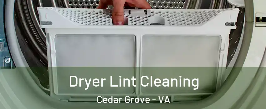 Dryer Lint Cleaning Cedar Grove - VA