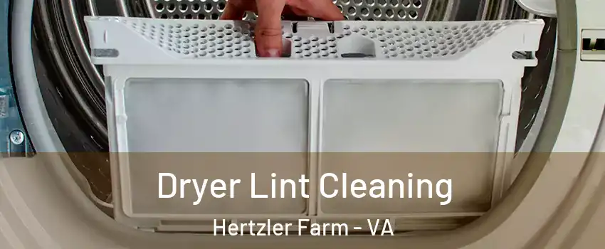 Dryer Lint Cleaning Hertzler Farm - VA