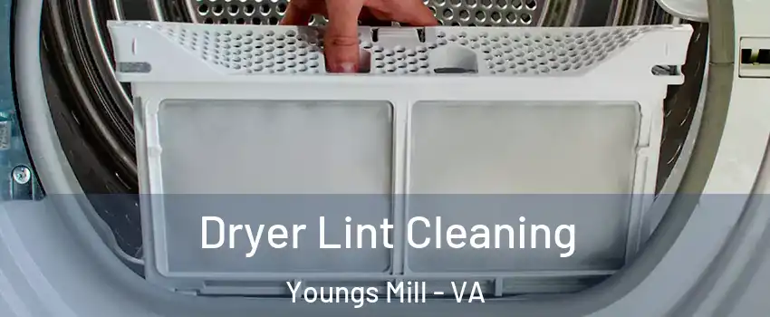 Dryer Lint Cleaning Youngs Mill - VA