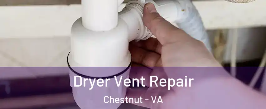 Dryer Vent Repair Chestnut - VA