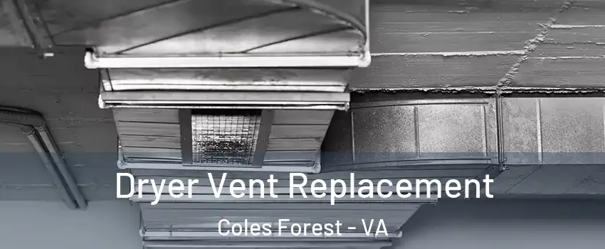 Dryer Vent Replacement Coles Forest - VA