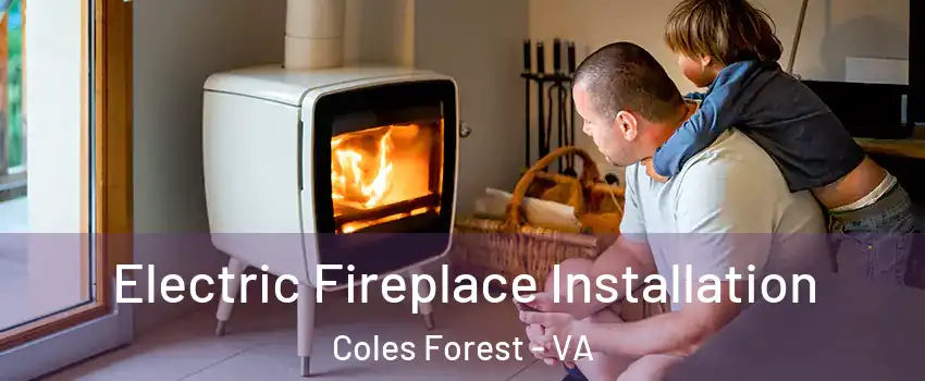 Electric Fireplace Installation Coles Forest - VA