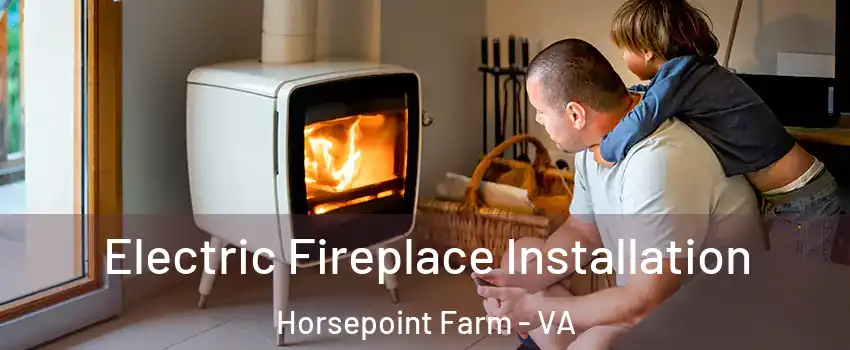 Electric Fireplace Installation Horsepoint Farm - VA