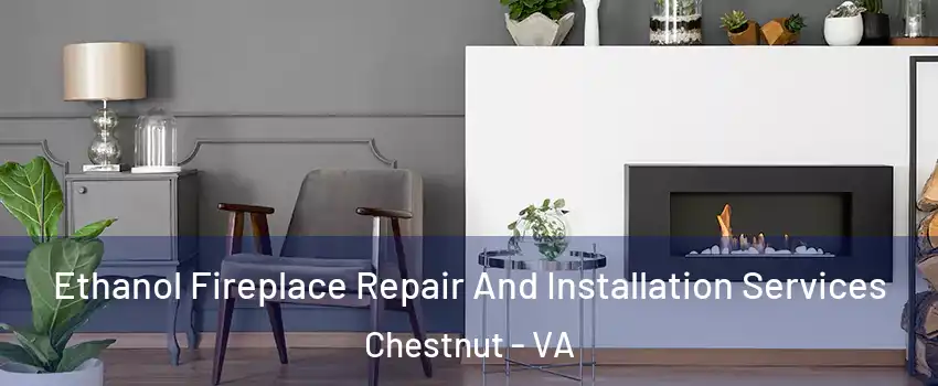 Ethanol Fireplace Repair And Installation Services Chestnut - VA
