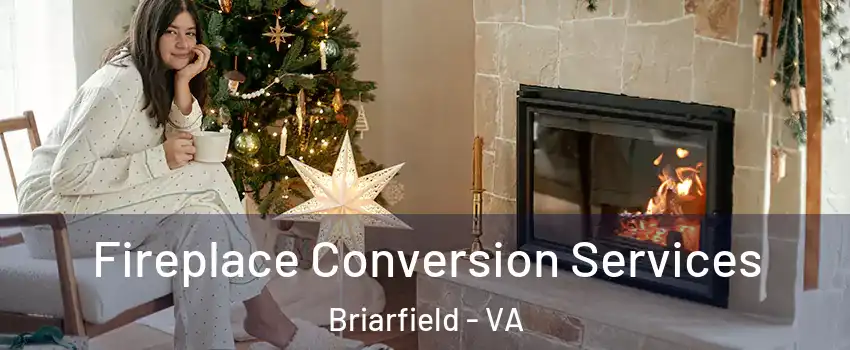 Fireplace Conversion Services Briarfield - VA