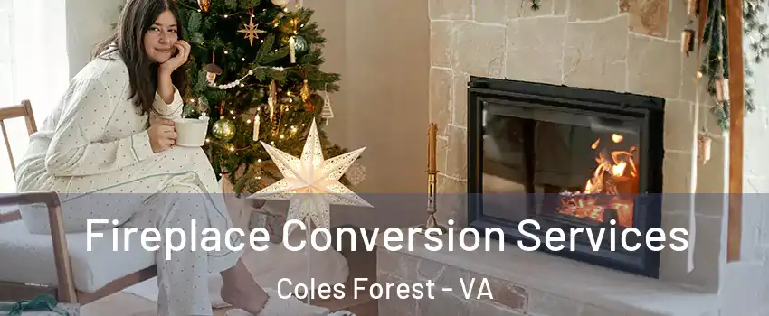 Fireplace Conversion Services Coles Forest - VA