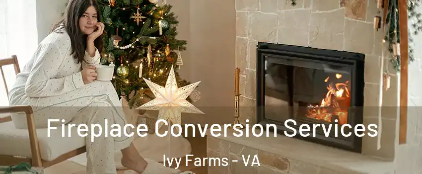 Fireplace Conversion Services Ivy Farms - VA