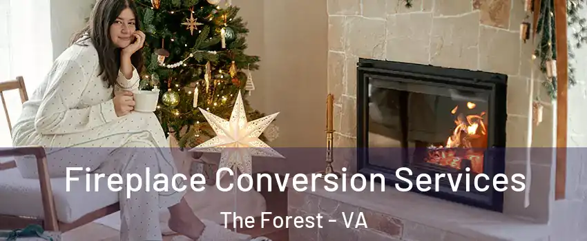 Fireplace Conversion Services The Forest - VA