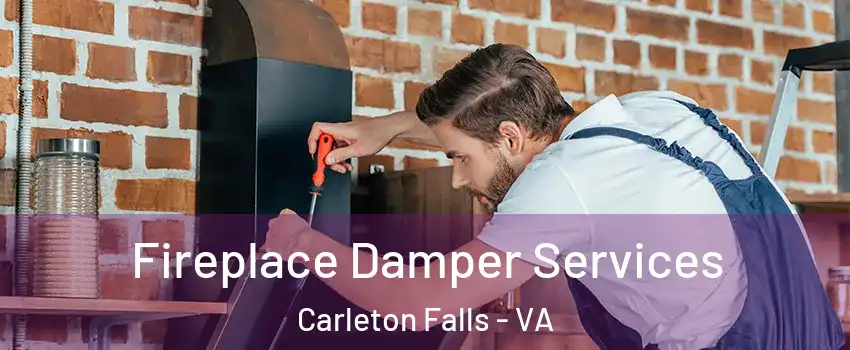 Fireplace Damper Services Carleton Falls - VA