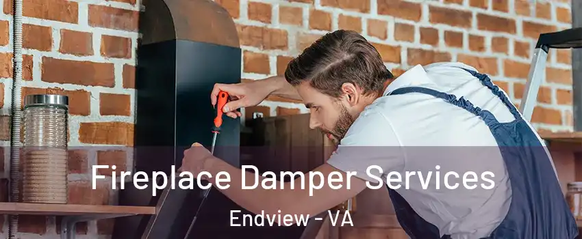 Fireplace Damper Services Endview - VA