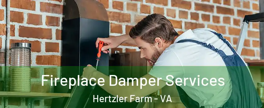 Fireplace Damper Services Hertzler Farm - VA