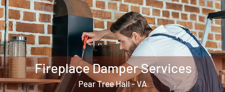 Fireplace Damper Services Pear Tree Hall - VA