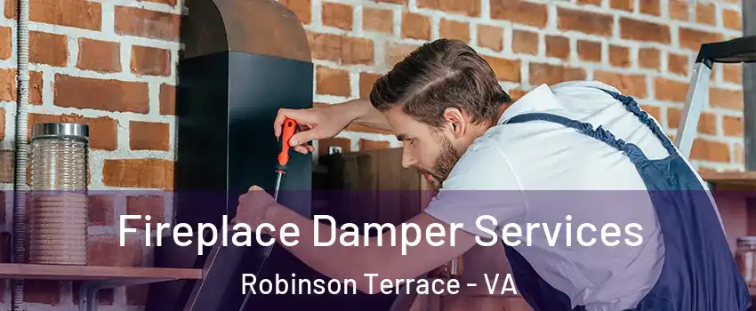 Fireplace Damper Services Robinson Terrace - VA