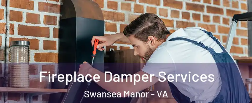 Fireplace Damper Services Swansea Manor - VA