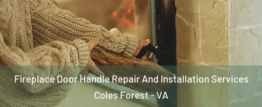 Fireplace Door Handle Repair And Installation Services Coles Forest - VA