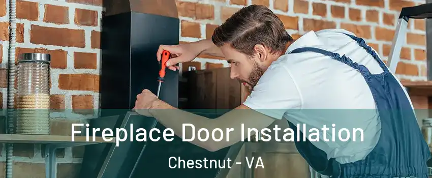 Fireplace Door Installation Chestnut - VA
