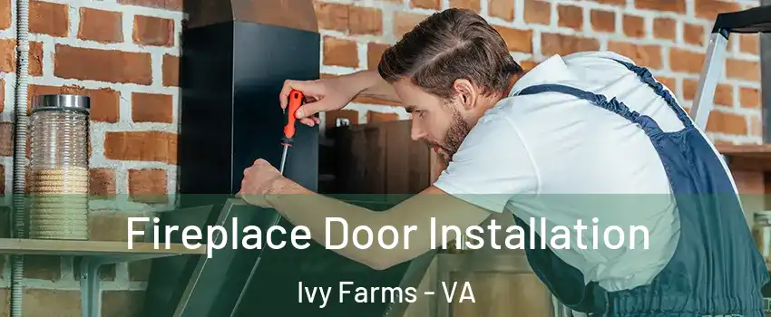 Fireplace Door Installation Ivy Farms - VA
