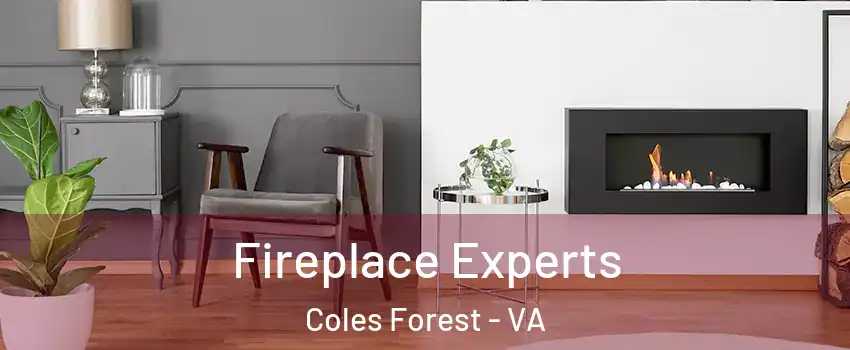 Fireplace Experts Coles Forest - VA