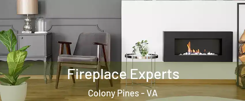 Fireplace Experts Colony Pines - VA