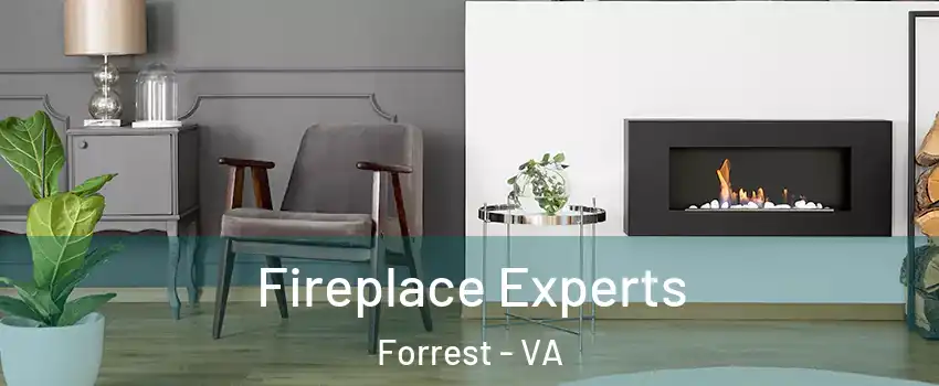 Fireplace Experts Forrest - VA