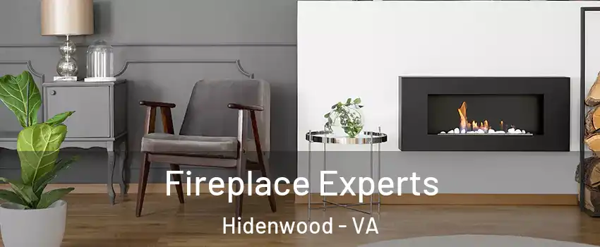 Fireplace Experts Hidenwood - VA