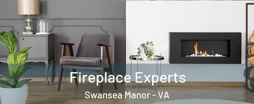 Fireplace Experts Swansea Manor - VA