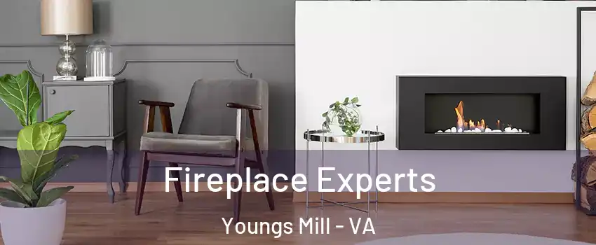 Fireplace Experts Youngs Mill - VA