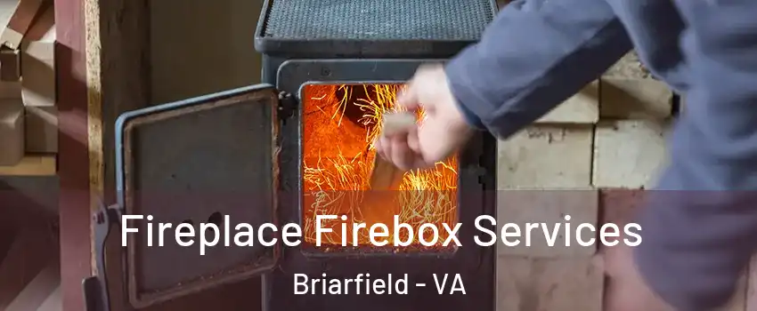 Fireplace Firebox Services Briarfield - VA