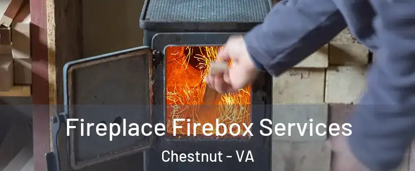 Fireplace Firebox Services Chestnut - VA