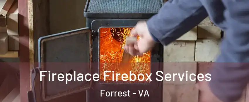Fireplace Firebox Services Forrest - VA