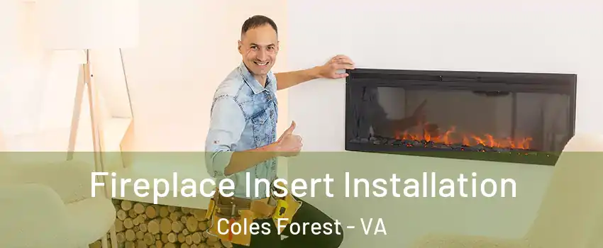 Fireplace Insert Installation Coles Forest - VA