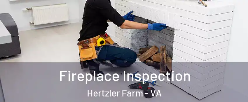 Fireplace Inspection Hertzler Farm - VA