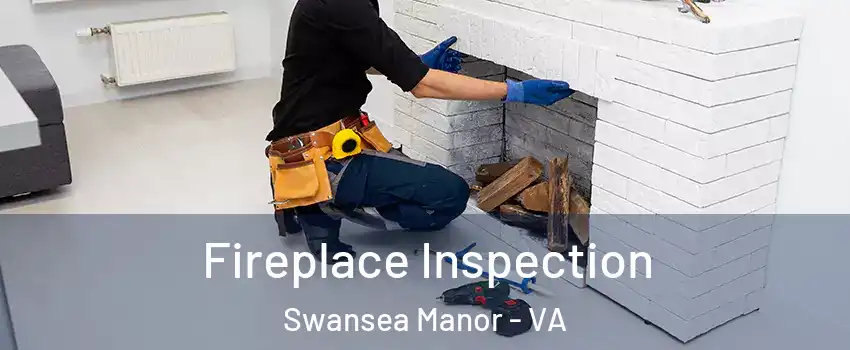 Fireplace Inspection Swansea Manor - VA
