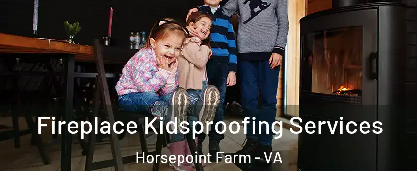 Fireplace Kidsproofing Services Horsepoint Farm - VA
