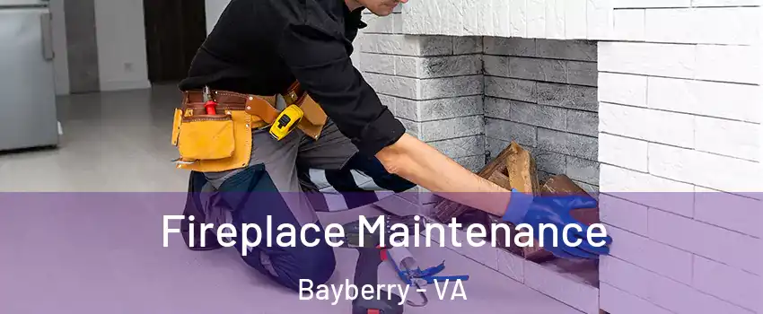 Fireplace Maintenance Bayberry - VA
