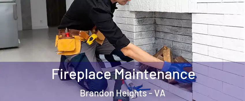 Fireplace Maintenance Brandon Heights - VA