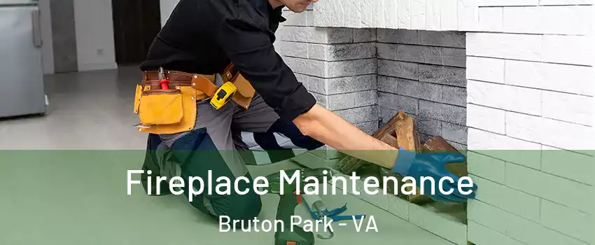 Fireplace Maintenance Bruton Park - VA